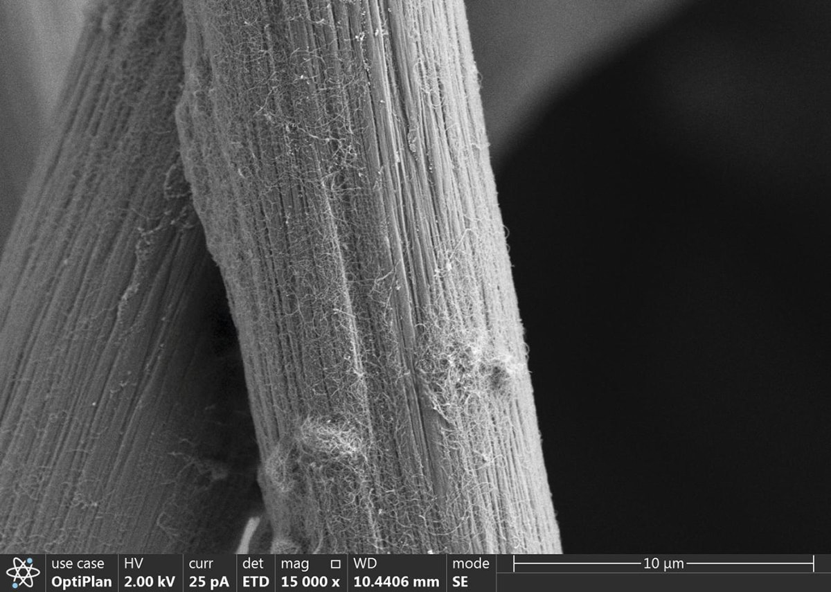 Was sind die Unterschiede zwischen Carbongewebe, Papier und Filz? 